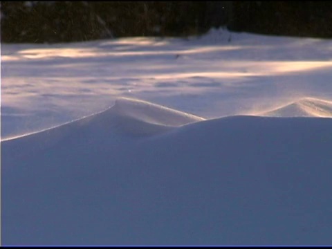 冬天吹雪视频素材