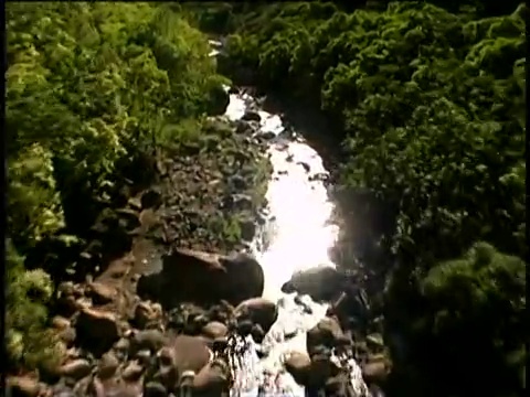 流在夏威夷视频素材