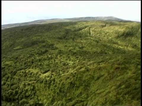 夏威夷毛伊岛上空的跟踪拍摄视频素材