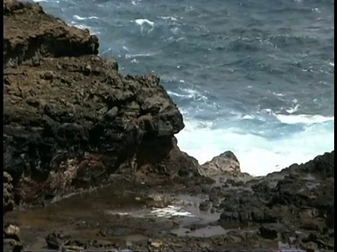 在夏威夷的一个岩石海岸，海水通过气孔喷出。视频素材