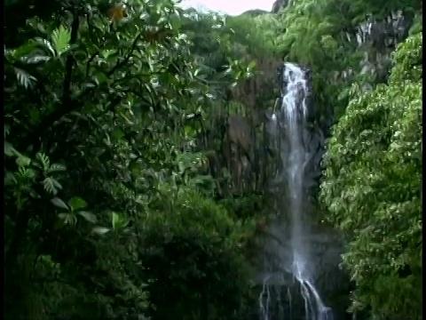 沿着夏威夷毛伊岛热带地区的瀑布向下倾斜。视频素材