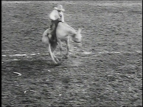 1930年，美国加州伯班克，牛仔骑在跃起的马上，然后掉了下来视频素材