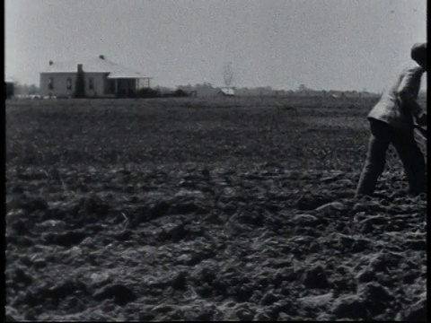 1940年，潘黑人农民在犁地视频素材