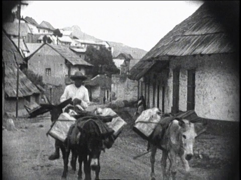 1930年，一名WS男子骑着驴跟着另外两头驮着包裹的驴穿过村庄/墨西哥城，墨西哥视频素材