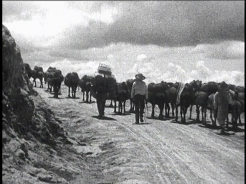 1930年，在墨西哥的墨西哥城，WS人跟随一群驮着货物的驴上山视频素材