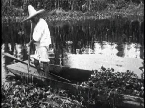 1930年，蒙太奇人在船上用耙抬起漂浮花园的植被/墨西哥城，墨西哥视频素材