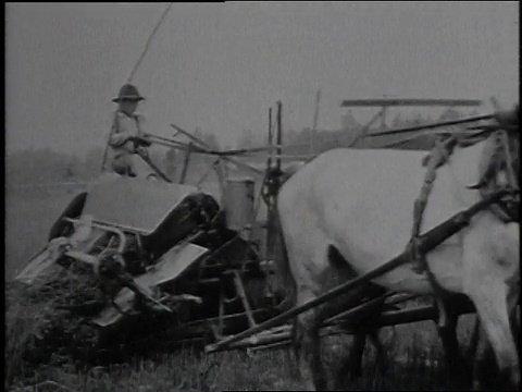 1925年美国农民用马拉拖拉机犁地视频素材