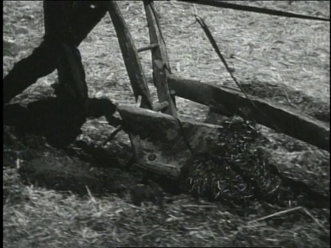 1940年，cuman在田里推犁/美国视频素材