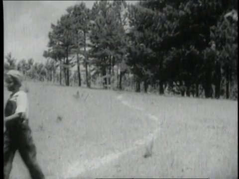 1940蒙太奇儿童行走在农村，手中拿着书/美国视频素材