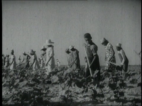 1940年，一群在农田里工作的人/美国视频素材