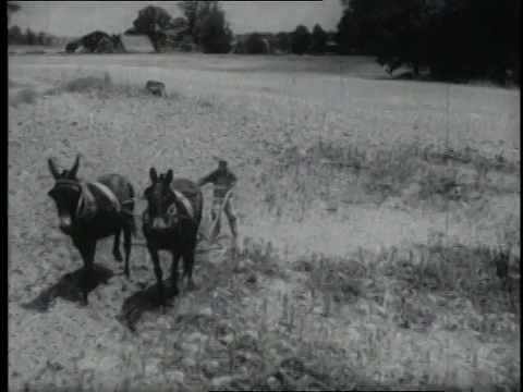 1940蒙太奇农民犁地/美国视频素材