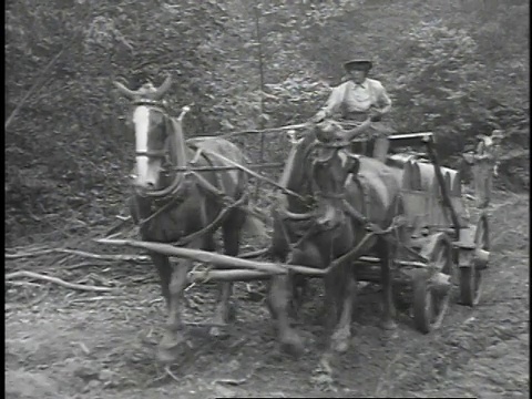 1923年，美国宾夕法尼亚州泰特斯维尔，马拉着拖车，拖着油桶穿过崎岖不平的田地视频素材