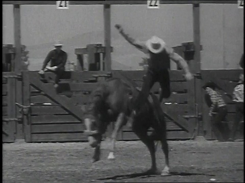 1939年蒙太奇牛仔竞技比赛/利弗莫尔，加利福尼亚州，美国视频素材