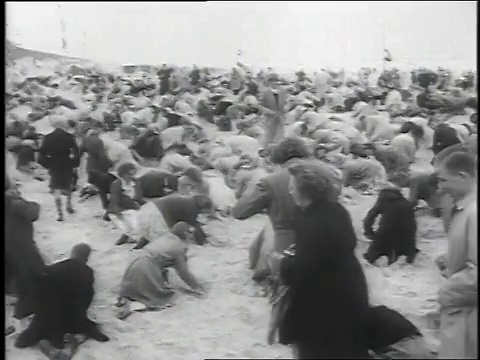 1951蒙太奇人群在沙子中挖掘，寻找埋藏的装有1500荷兰盾的箱子/荷兰埃格蒙德海滩视频下载