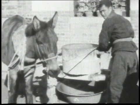 1938年蒙太奇村民用驴旋转磨石磨谷物/中国视频素材