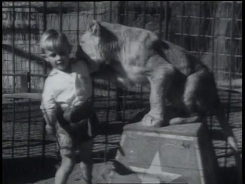 1934年5月24日蒙太奇男孩与椅子和鞭子笼宠物狮子/千橡树，加利福尼亚州，美国视频素材