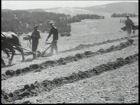 1936年蒙太奇人在民间保护兵团播种，然后耙和犁地/美国视频素材