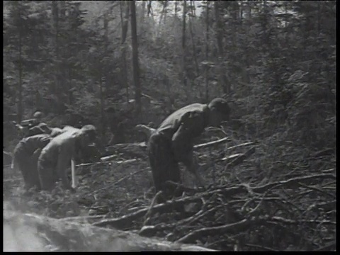 1936年，民间保护队的蒙太奇男子在森林中挖掘战壕以阻止森林火灾/美国视频素材