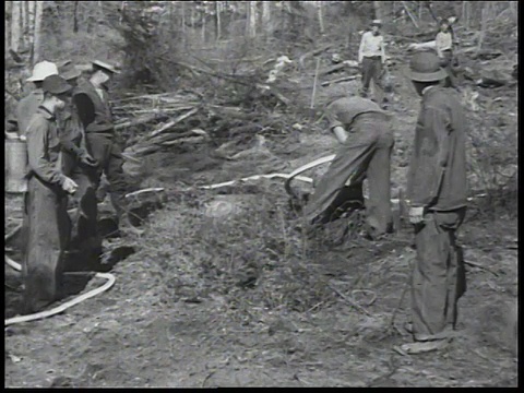 1936年，为了阻止森林大火，平民保护队的人砍伐树木视频素材