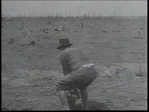 1934年，蒙太奇民间保护队使用炸药清除树干/美国视频素材