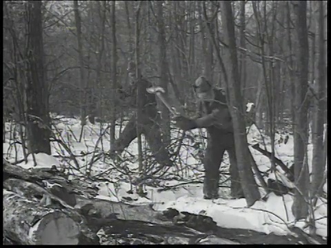 1934蒙太奇人们砍树，把树砍成柴火块，然后排队吃热腾腾的晚餐/美国视频素材