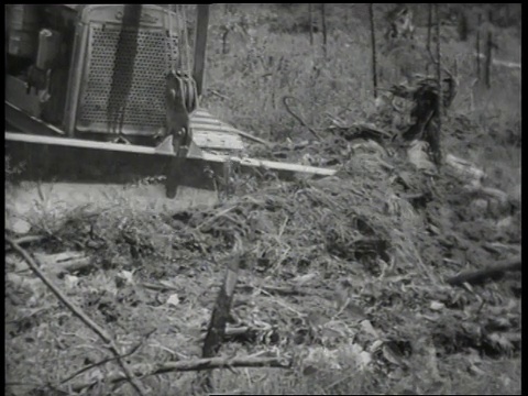 1944年WS推土机在清理田地/美国视频素材