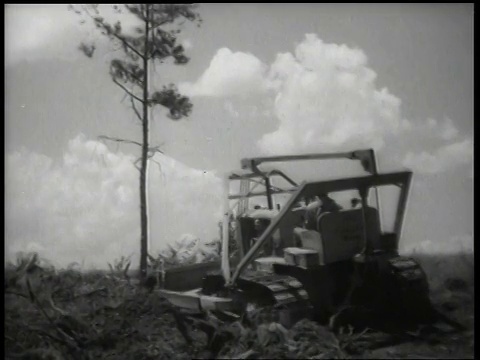 1944年，WS推土机清理田地，推倒小树/美国视频素材