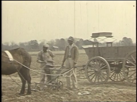 1940年蒙太奇农民使用工具在土壤上工作/博利吉，阿拉巴马州，美国视频素材