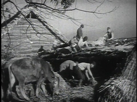 1940年代的日本农民在农场上工作，并建造稻草屋顶的房子视频下载