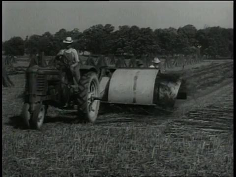 1940年代蒙太奇农民在大麻茎上使用皮卡粘合剂/美国肯塔基视频素材