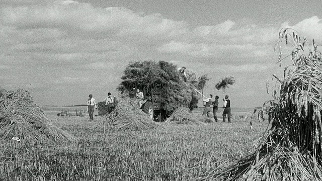 1942年蒙太奇志愿者从城市和武装部队志愿和收获粮食的农场在第二次世界大战/英国视频素材