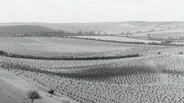 1942年蒙太奇志愿者从城市和武装部队志愿和收获粮食的农场在第二次世界大战/英国视频素材