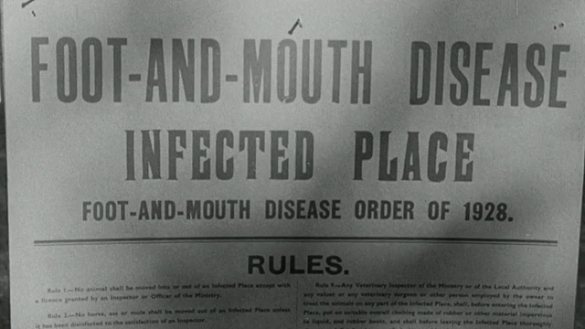 1955年蒙太奇兽医检查奶牛疾病并发布口蹄疫命令/英国视频素材