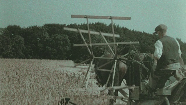 1938年蒙太奇农民在干草地里用马拉的活页夹工作/英国视频素材