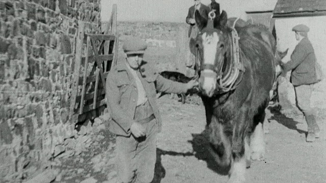 1933蒙太奇农民步行和骑工作马回谷仓和马饮用槽/英国视频素材