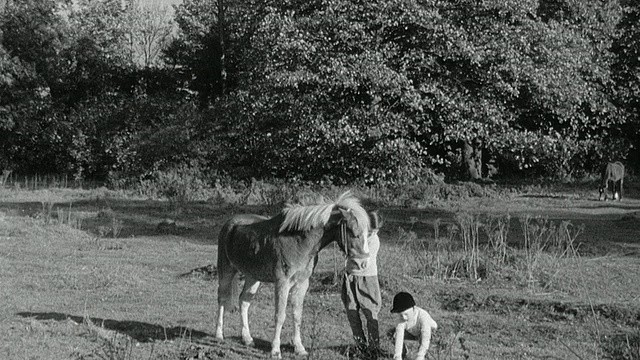 1956 .英国，一名围观者倚在篱笆上观看孩子们在田地里和小马玩耍视频素材