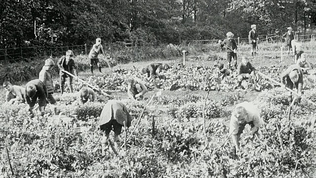 1925蒙太奇拄着拐杖的女学生在户外教室的课桌前和同学们一起，他们向镜头挥手，男学生忙于锄地和除草，英国泰恩河畔纽卡斯尔视频素材