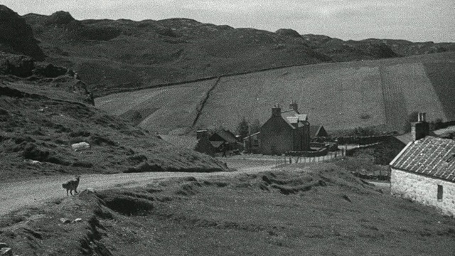 1944年，PAN Crofter和狗走在土路上，而Crofter讨论社区住房安全/ Achriesgill，苏格兰，英国视频素材