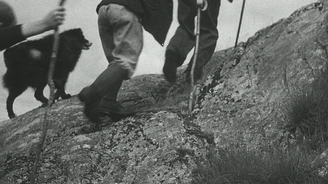 1944年，蒙太奇牧人与牧羊犬一起攀登高地山峰/英国苏格兰阿克利斯吉尔视频素材