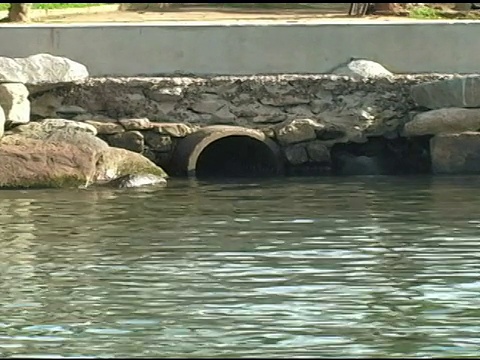 不同水道的污染和未经处理的污水视频下载