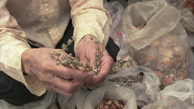 越南巴利亚- vung头巴湾的农贸市场，CU商人展示草药和根茎视频素材