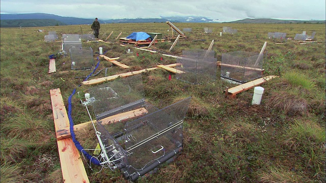 两名研究人员抵达一个岩心钻探地点，用木板作为通道来保护生态系统/美国阿拉斯加视频素材