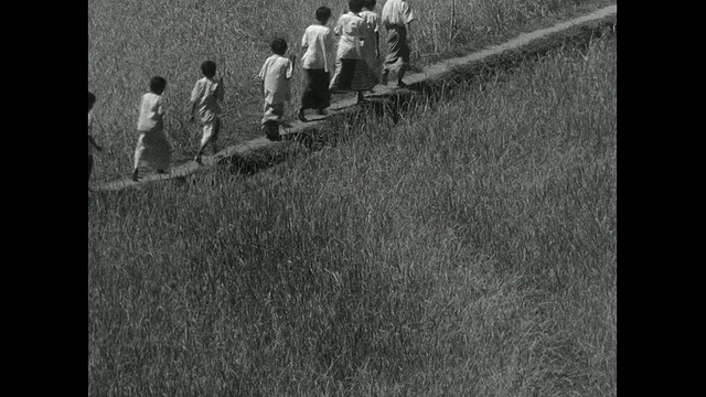 蒙太奇村民头上扛着稻草，簸米，走过稻田，用研钵和杵打稻壳视频素材