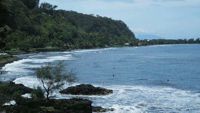 热带海岸线视频素材