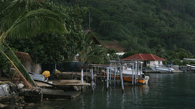 热带岛屿海滨视频素材