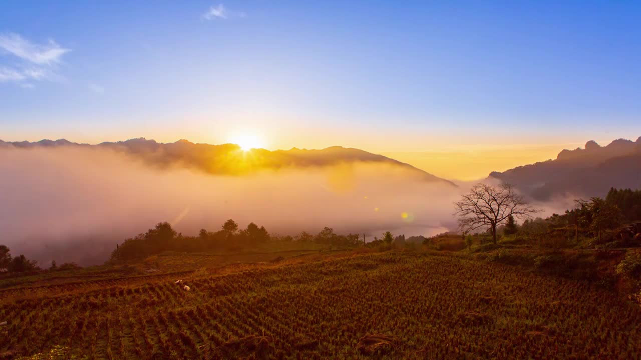 山涧云雾日出延时视频素材