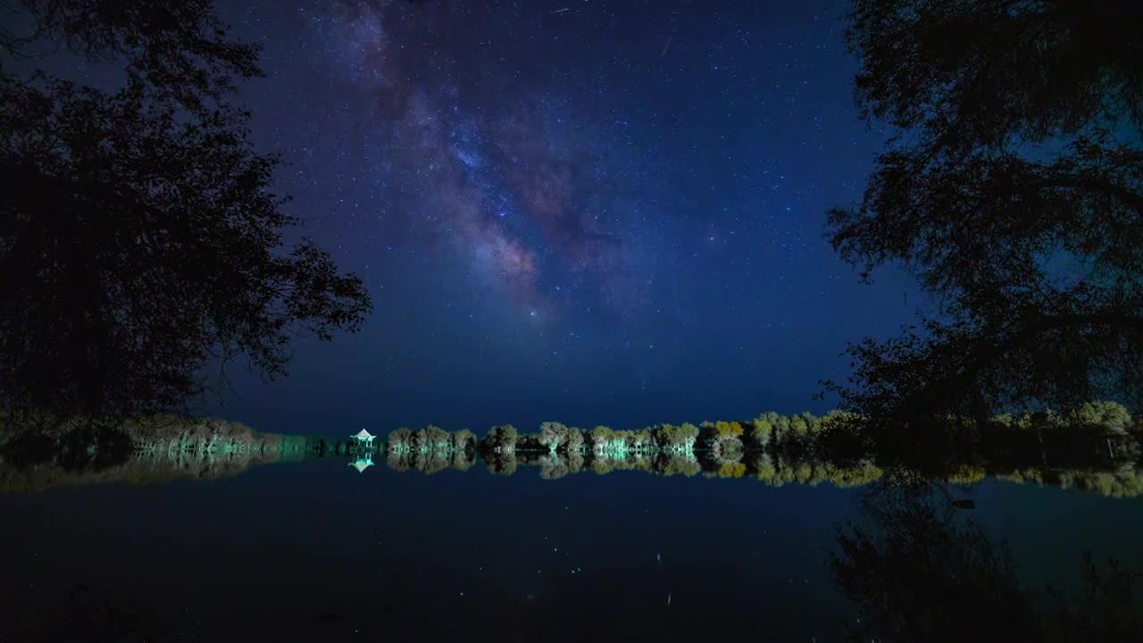 塔里木河胡杨银河星空延时视频素材