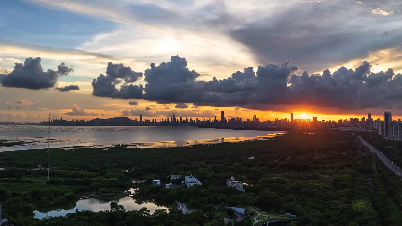 深圳湾公园城市风景视频下载