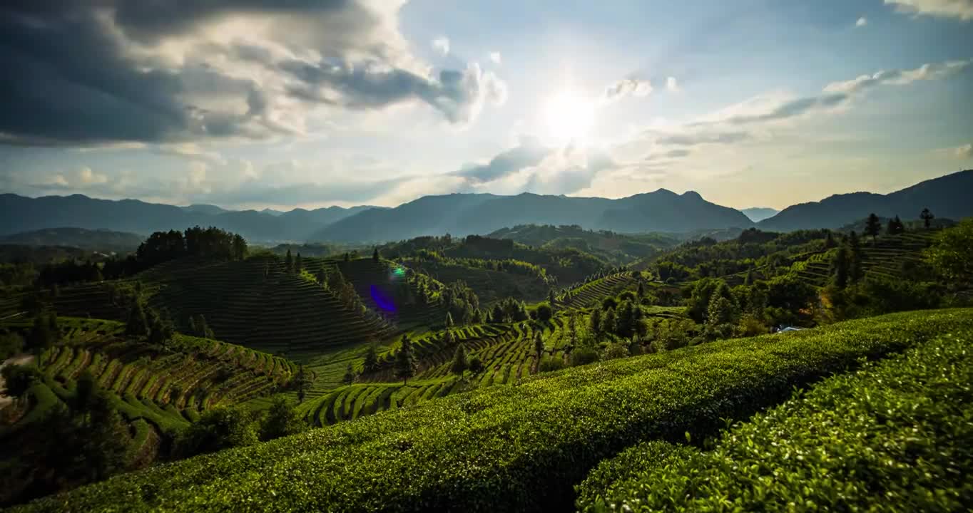 茶园落日晚霞视频素材