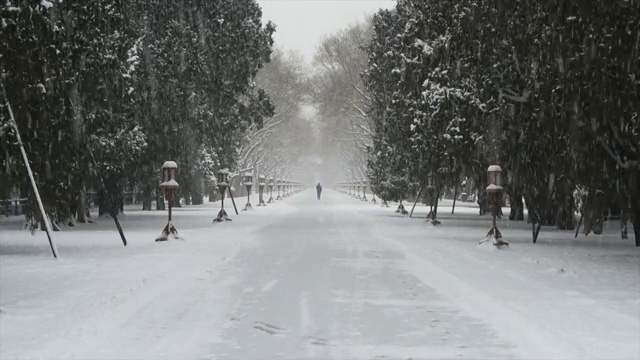 风雪天坛视频素材